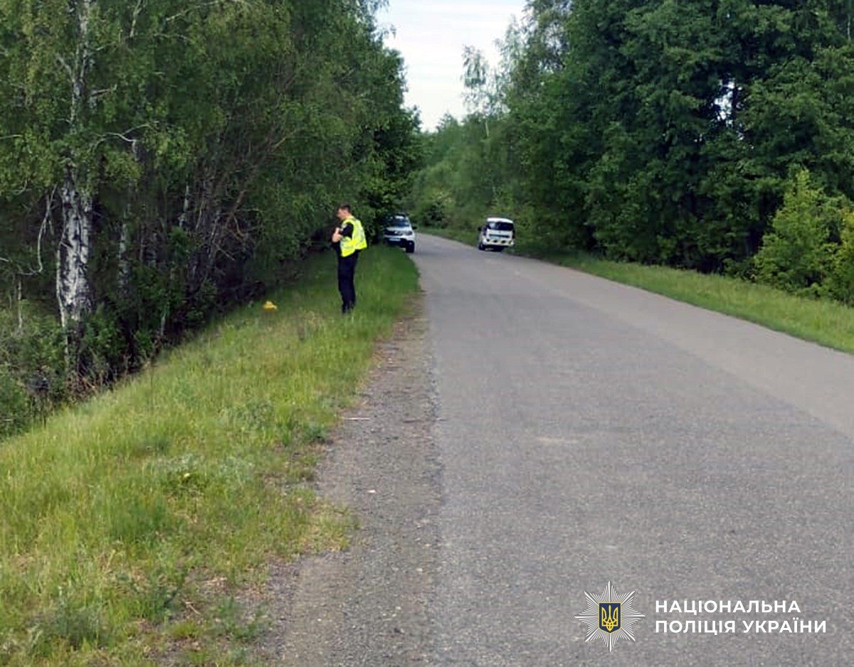 На Житомирщині скутеристка з’їхала з дороги та врізалася в дерево: водійка в реанімації