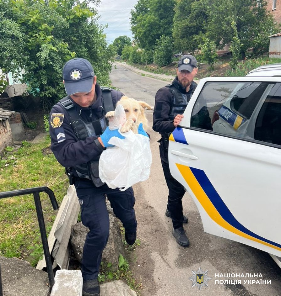 Поліцейські рятують тварину