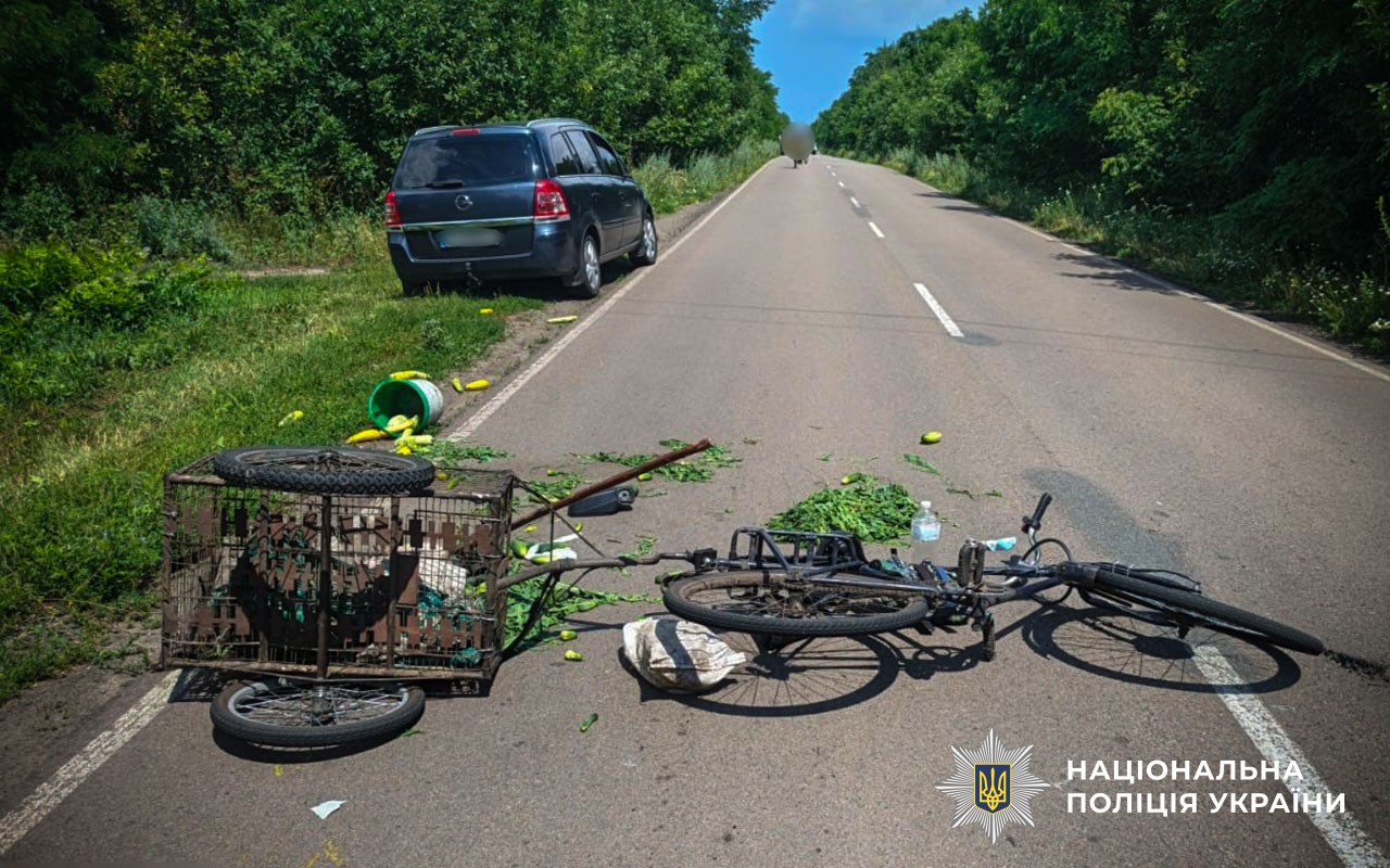 Місце скоєння ДТП на автодорозі