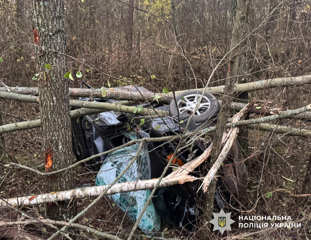 У крові було 2,43 проміле алкоголю: на Житомирщині нетвереза водійка вчинила смертельну ДТП, загинула 16-річна дівчина